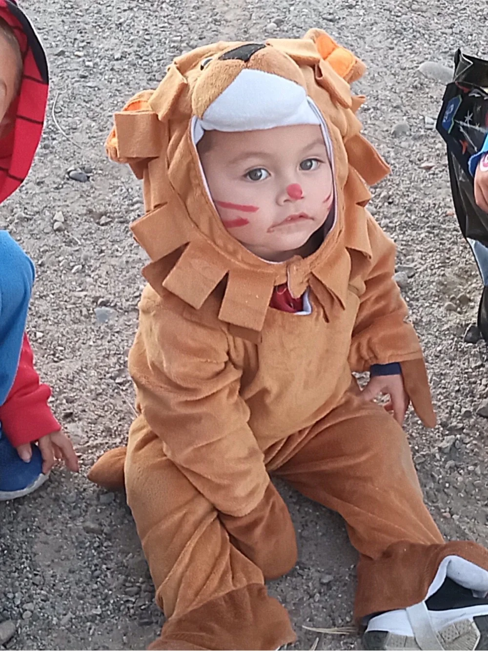 Lion Costume 🦁